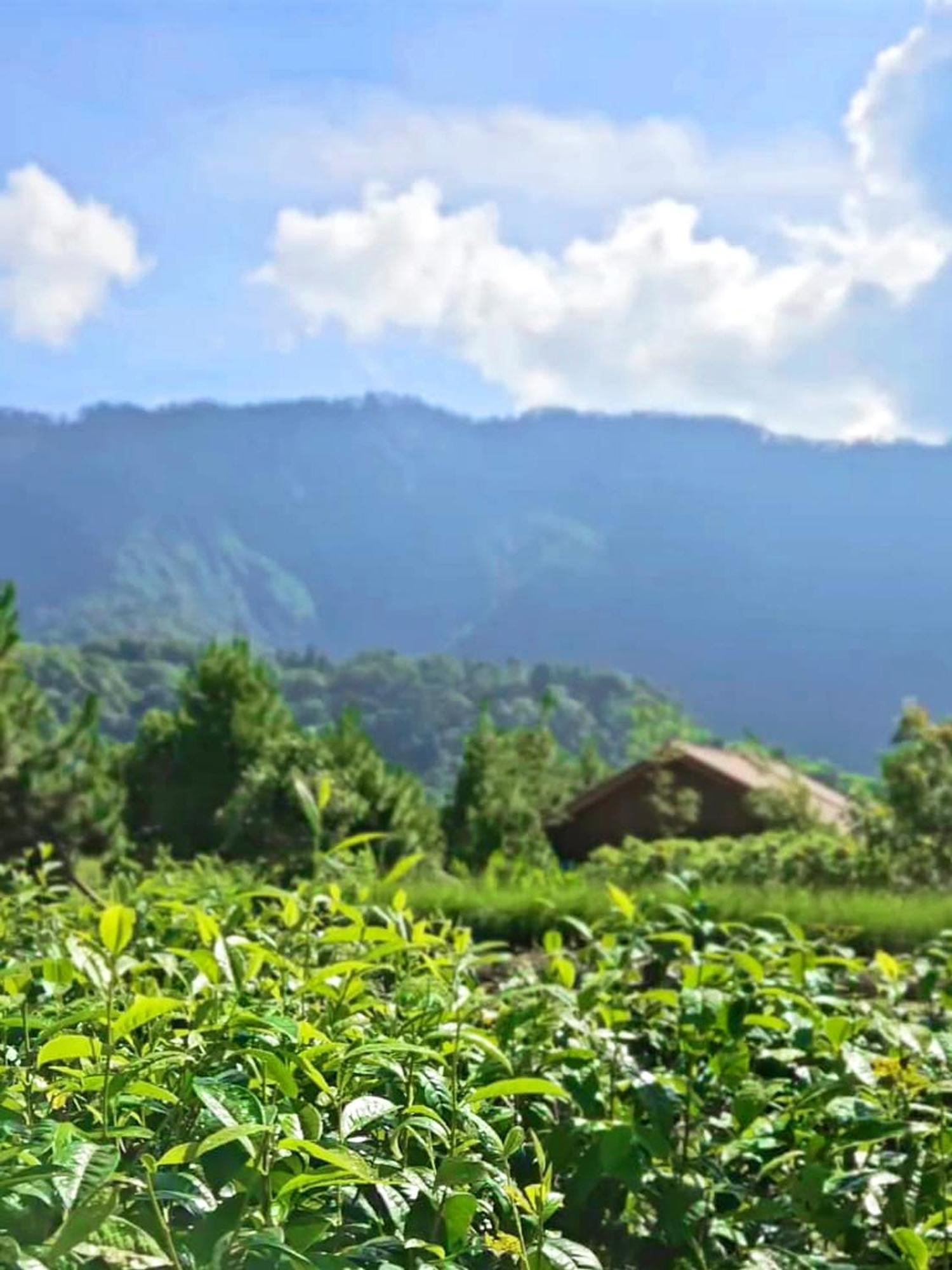 Dusun Bedugul Asri Hotell Exteriör bild
