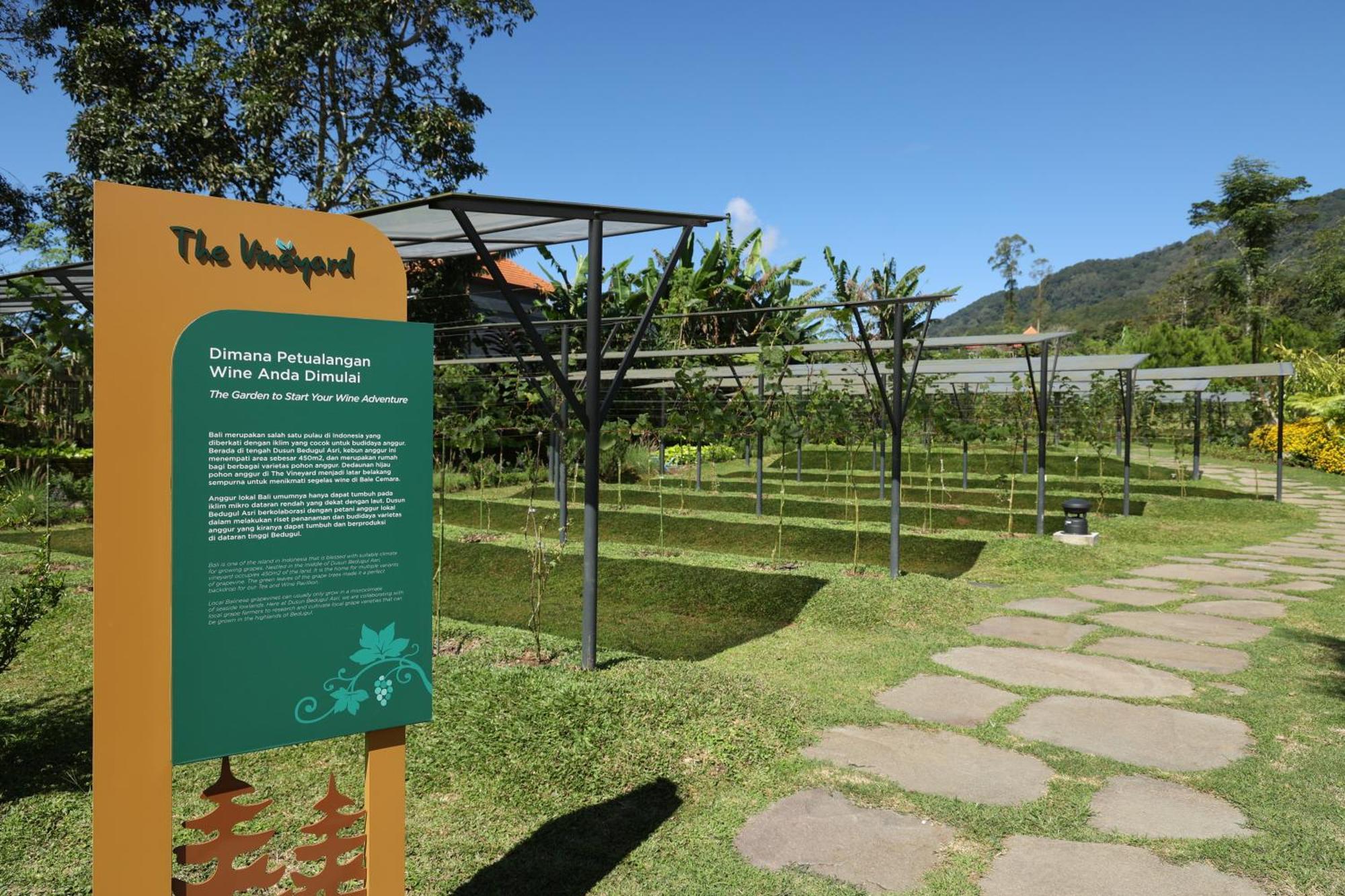 Dusun Bedugul Asri Hotell Exteriör bild