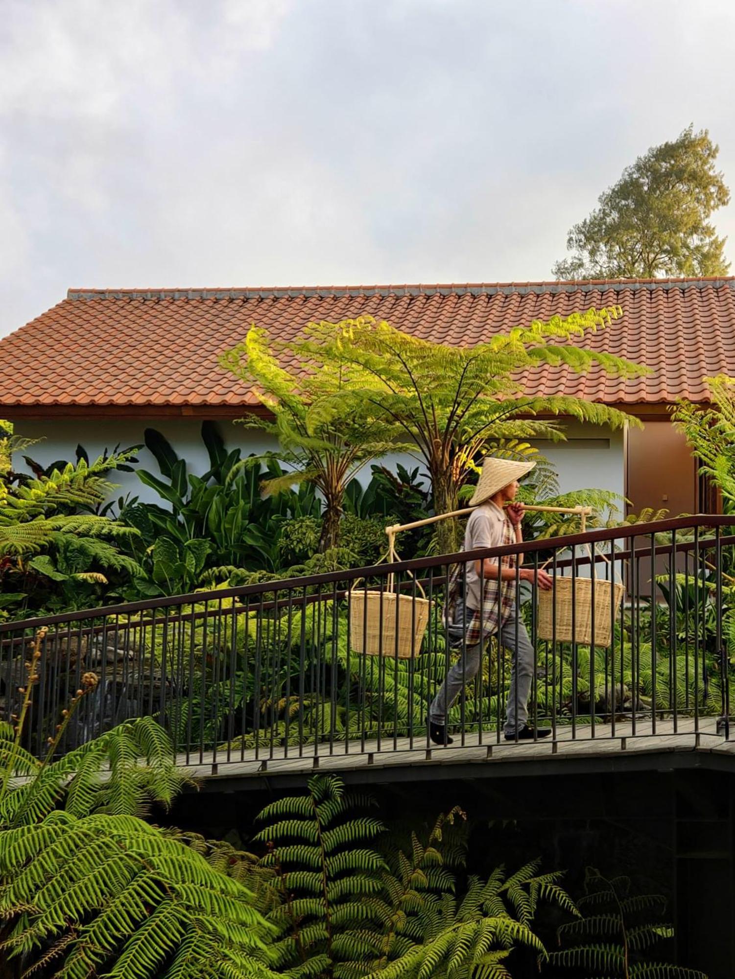 Dusun Bedugul Asri Hotell Exteriör bild