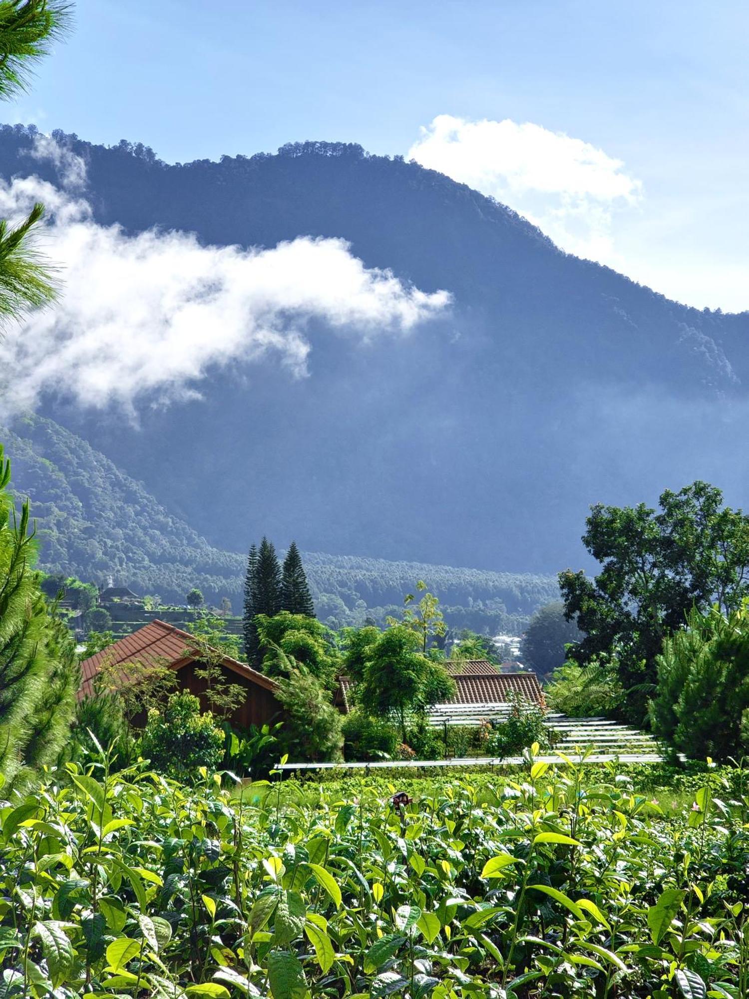 Dusun Bedugul Asri Hotell Exteriör bild